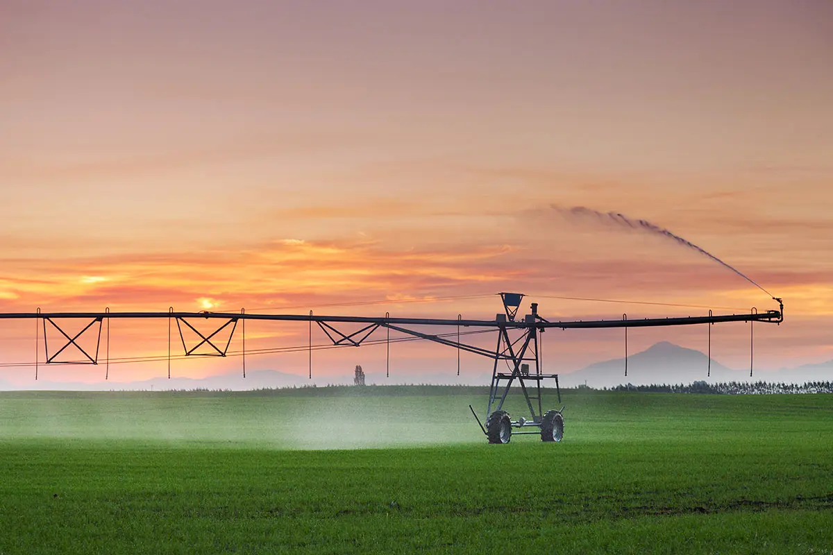 A centre pivot irrigator spraying over green pasture at sunset